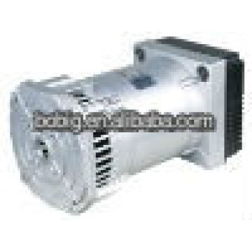 Alternador de potencia sin escobillas AVR 5KW-6.5KW